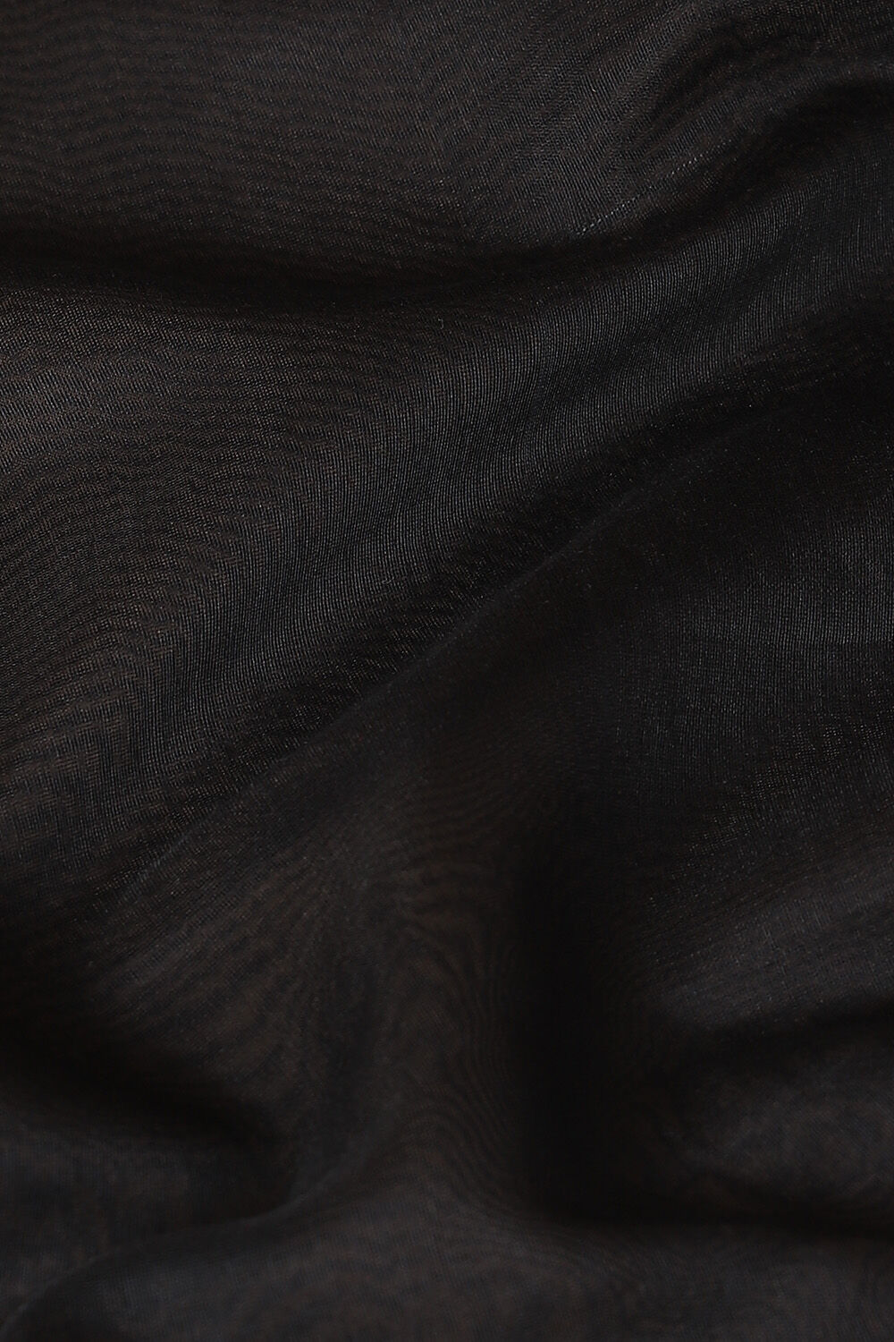 Black Pure Silk Cotton Jamdani Saree image number null