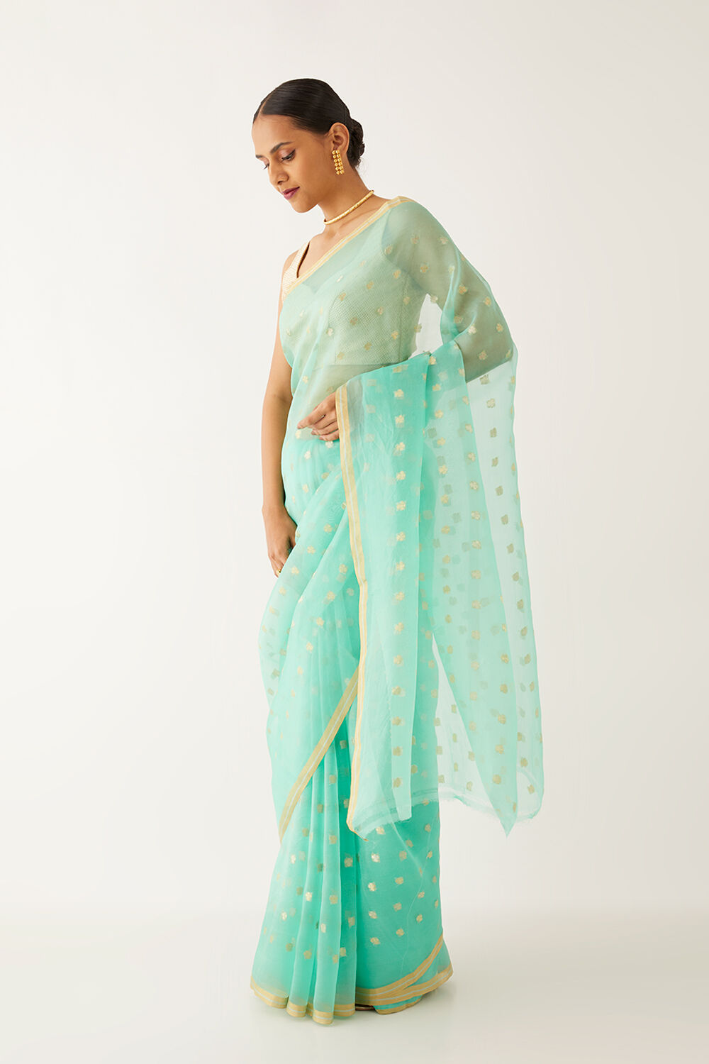Light Green Pure Organza Banarasi Saree image number null