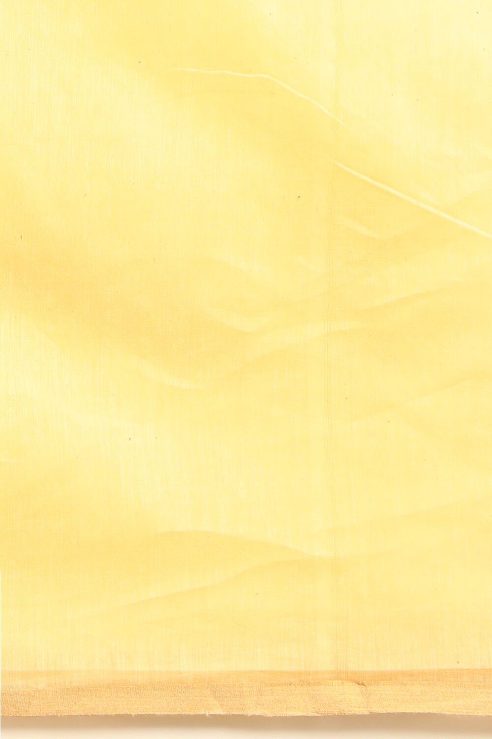 Light Yellow Pure Silk Cotton Bengal Jamdani Saree image number null