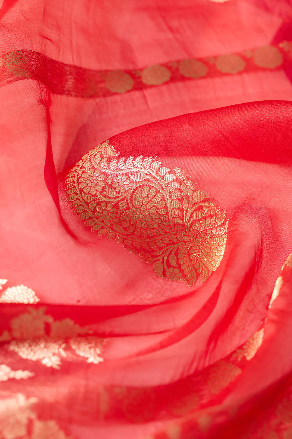 Multi Pure Silk Organza Kadwa Banarasi Saree image number null