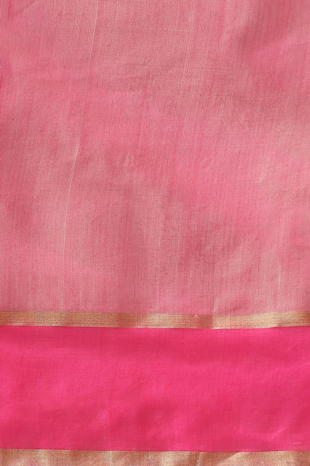 Light Blue Pure Cotton Tissue Chanderi Saree image number null