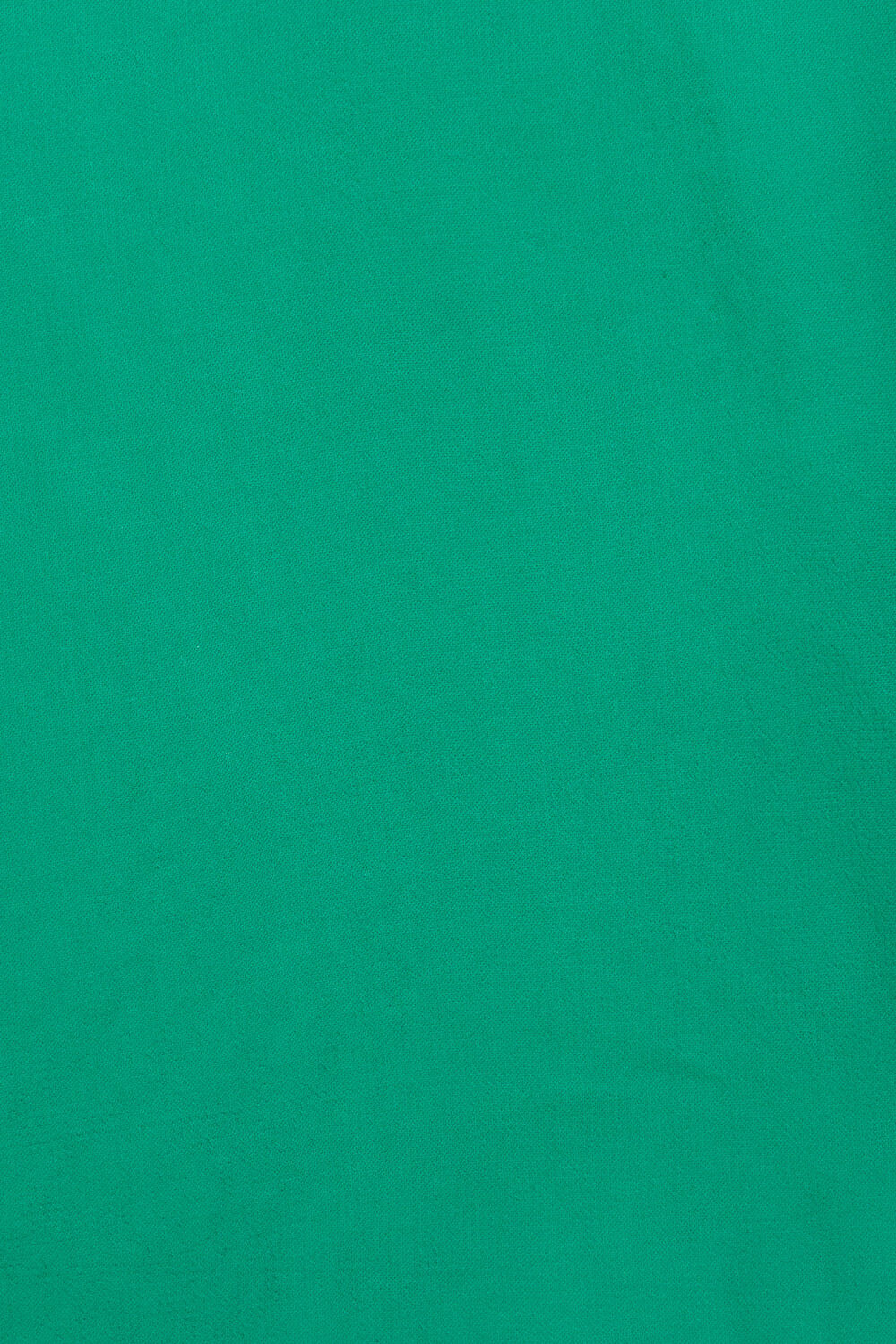 Light Green Viscose Georgette Printed Saree image number null