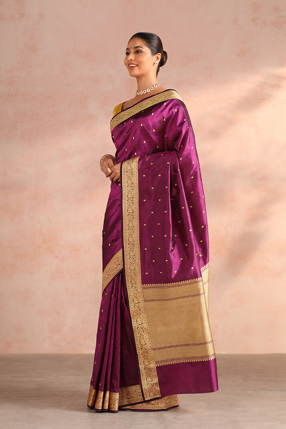 Violet Pure Silk Kadwa Banarasi Saree image number null
