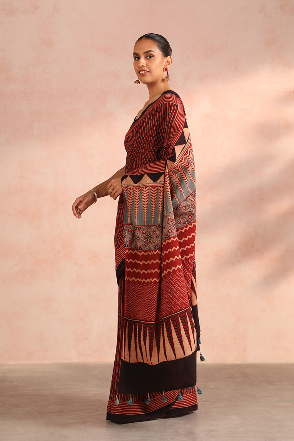 Red Gujarat Block Printed Pure Cotton Saree image number null