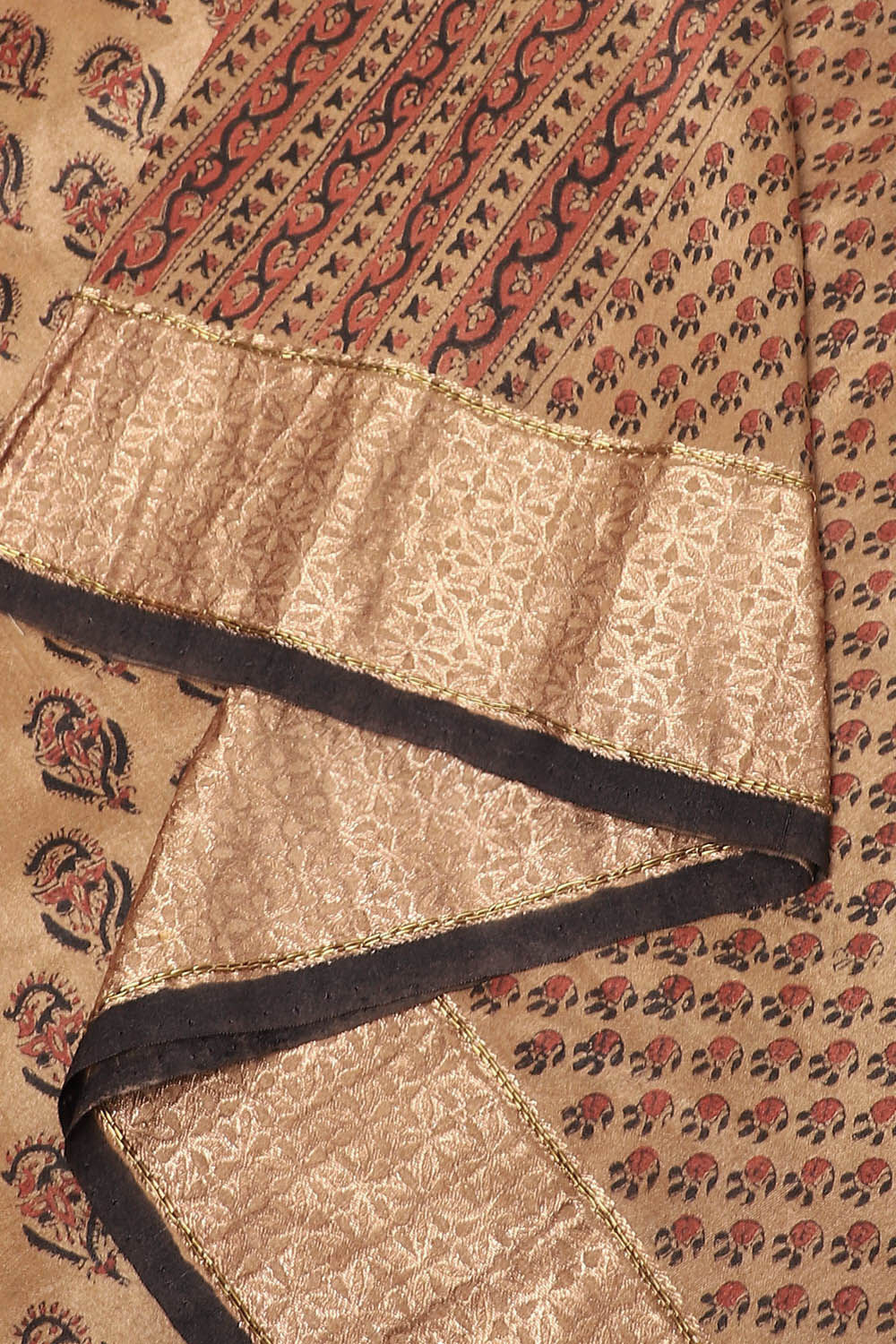 Brown Pure Silk Tussar Bagru Print and Zardosi Embroidered Saree image number null
