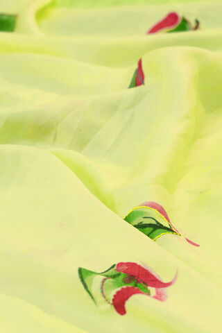 Light Green Bengal Pure Silk Hand Painted Embroidered Saree thumbnail image number null