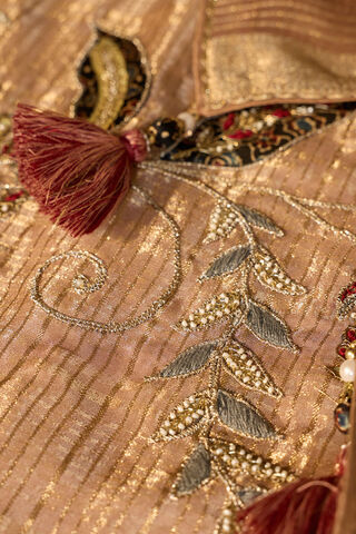 Brown Viscose Tissue Embroidered Saree thumbnail image number null