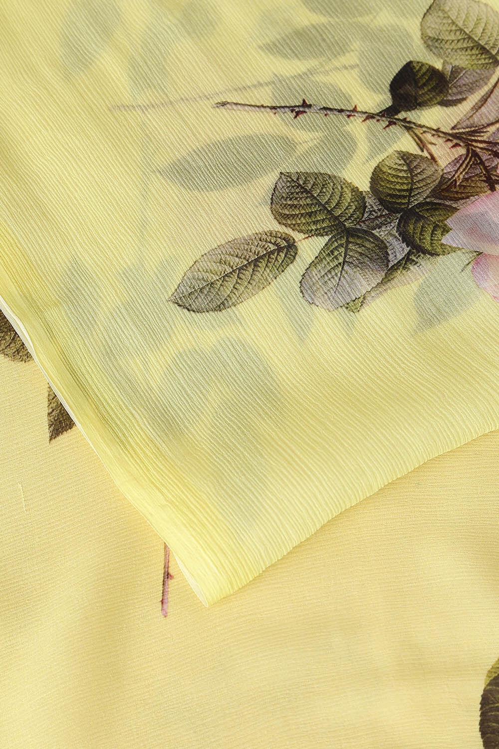Light Yellow Pure Chiffon Digital Printed Saree image number null