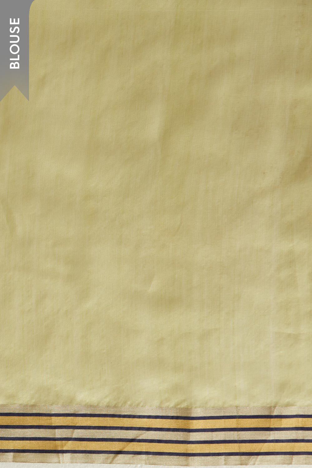 Light Green Pure Silk Cotton Eknaliya Chanderi Saree image number null