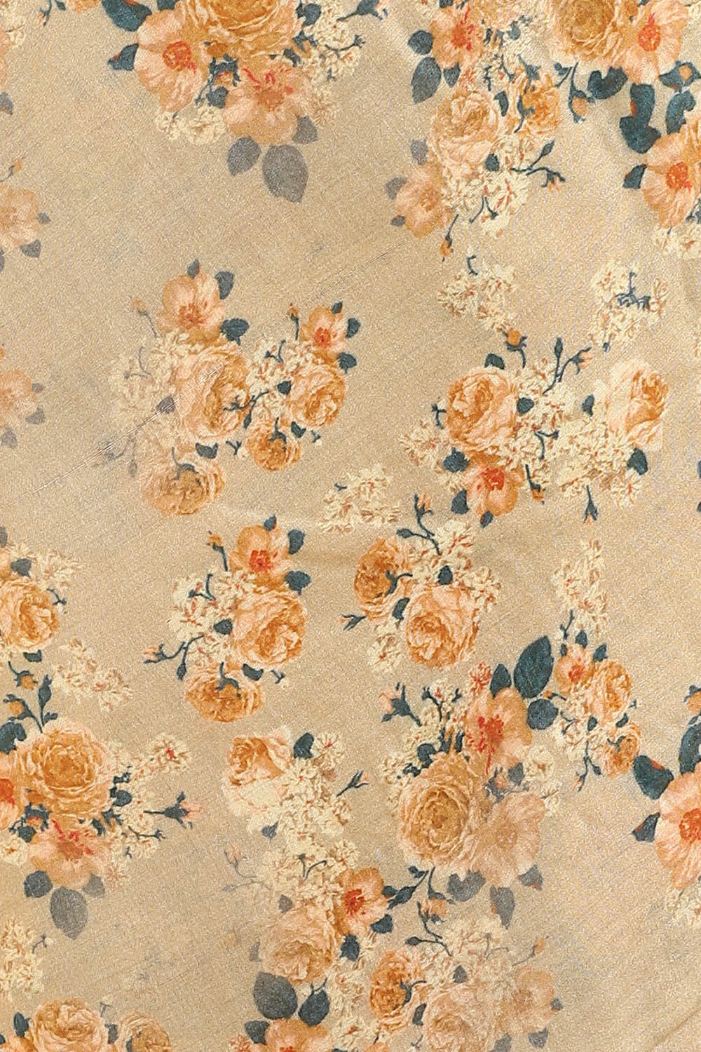 Beige Pure Tussar Silk Digital Printed Saree image number null