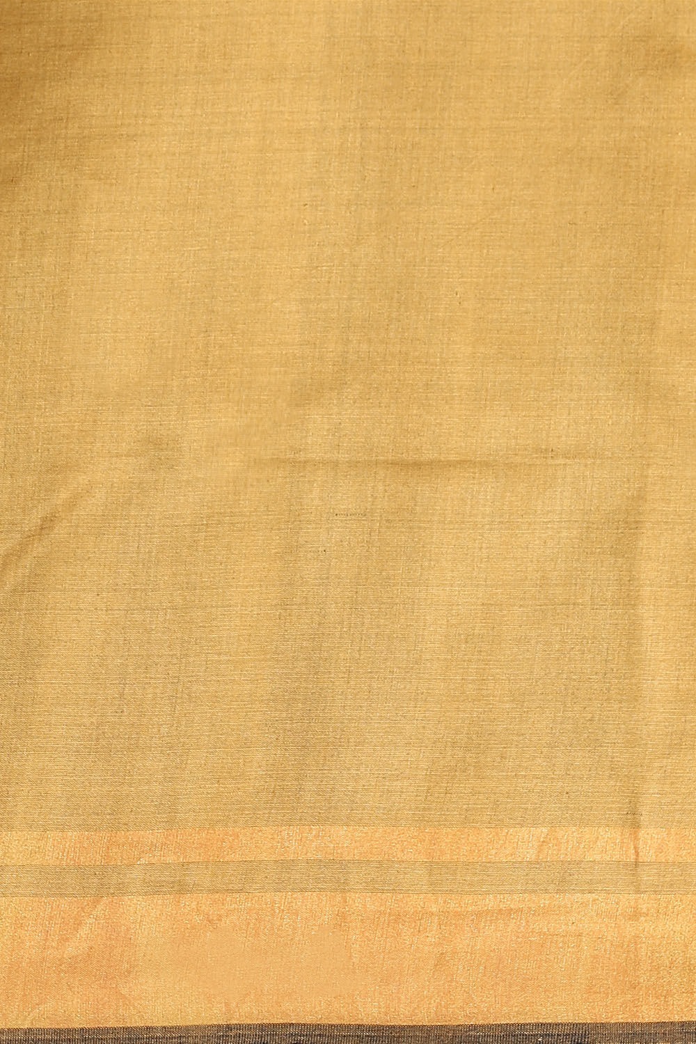 Light Green Pure Tussar Silk Bhagalpuri Saree image number null