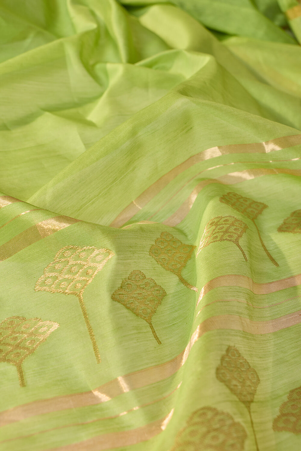 Green Woven Pure Silk Cotton Chanderi Saree image number null