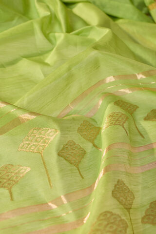 Green Woven Pure Silk Cotton Chanderi Saree thumbnail image number null