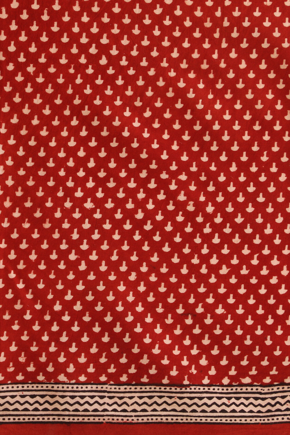 Red Bagh Block Printed Pure Cotton Saree image number null