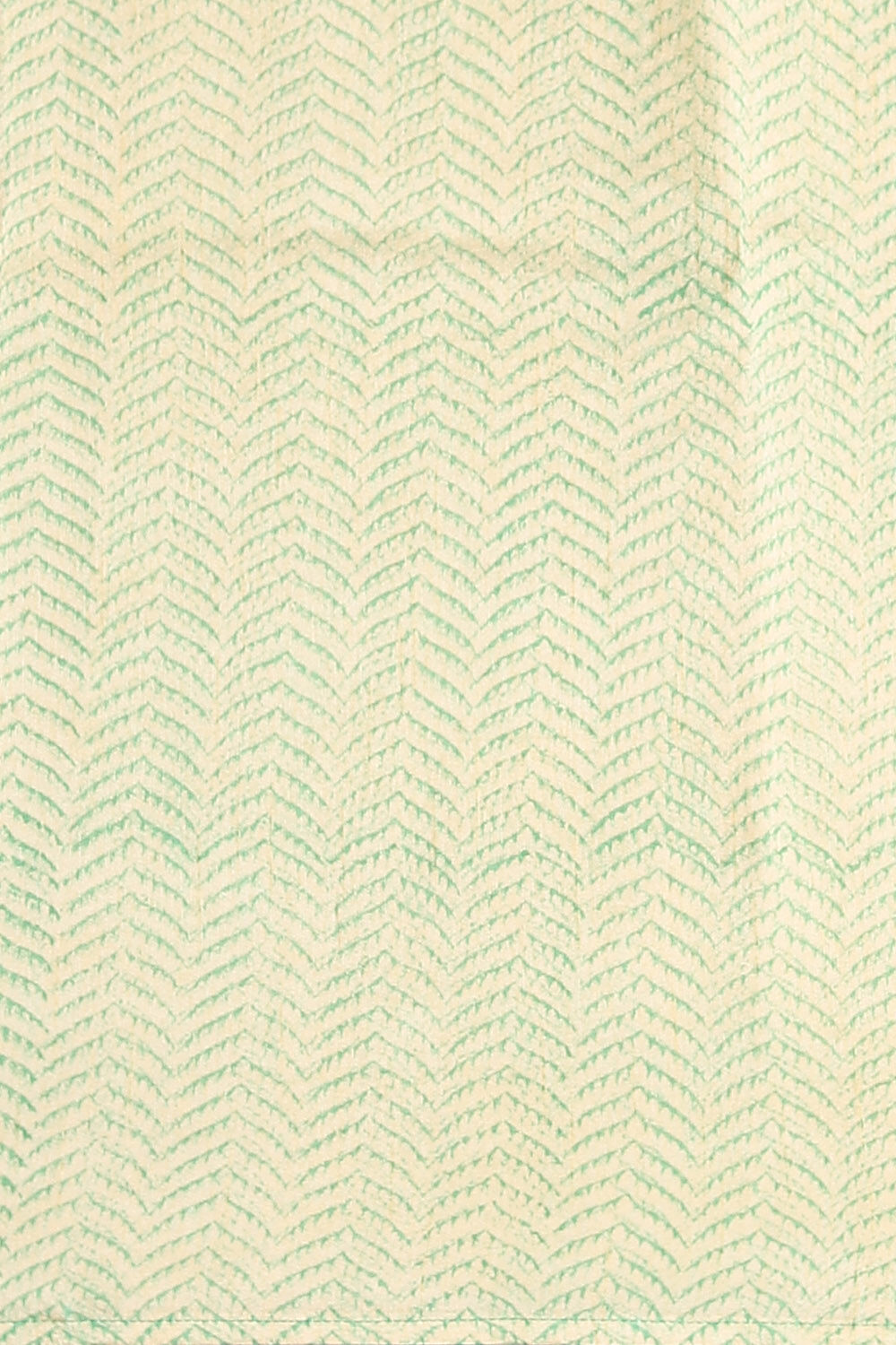 Green Vegan Saree image number null