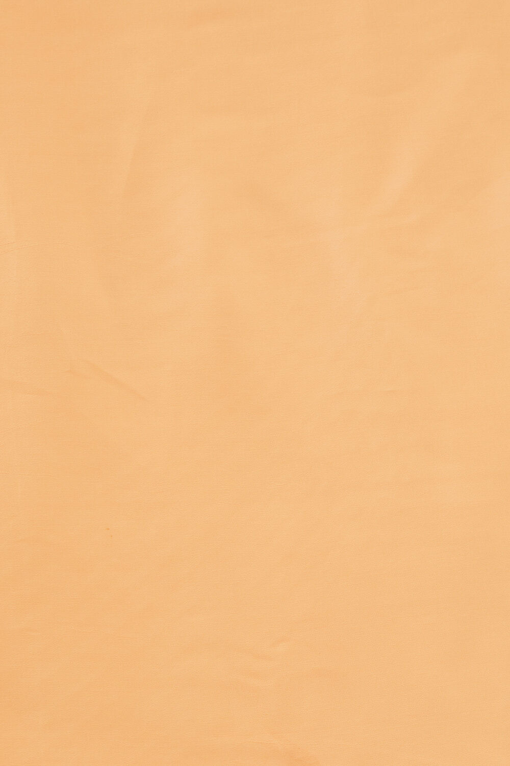Light Orange Viscose Organza Embroidery Saree image number null