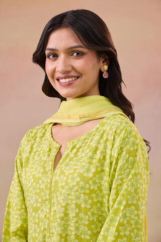 Light Green Screen Printed Pure Cotton Kurta Set thumbnail image number null