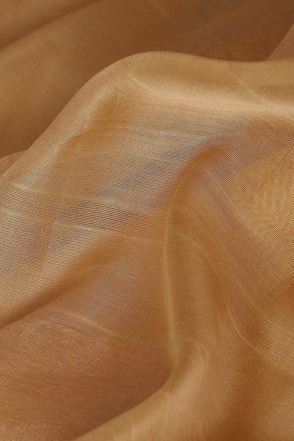Beige Pure Silk Cotton South Saree image number null