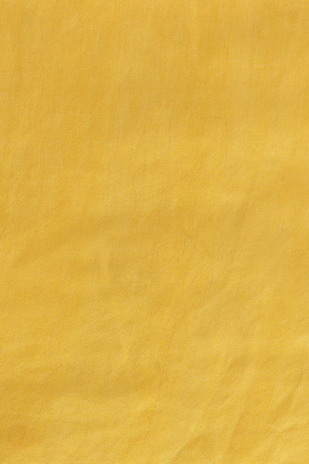 Light Yellow Pure Silk Cotton Embroidered Saree image number null