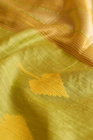 Yellow Pure Tussar Silk Bhagalpur Woven Saree thumbnail image number null