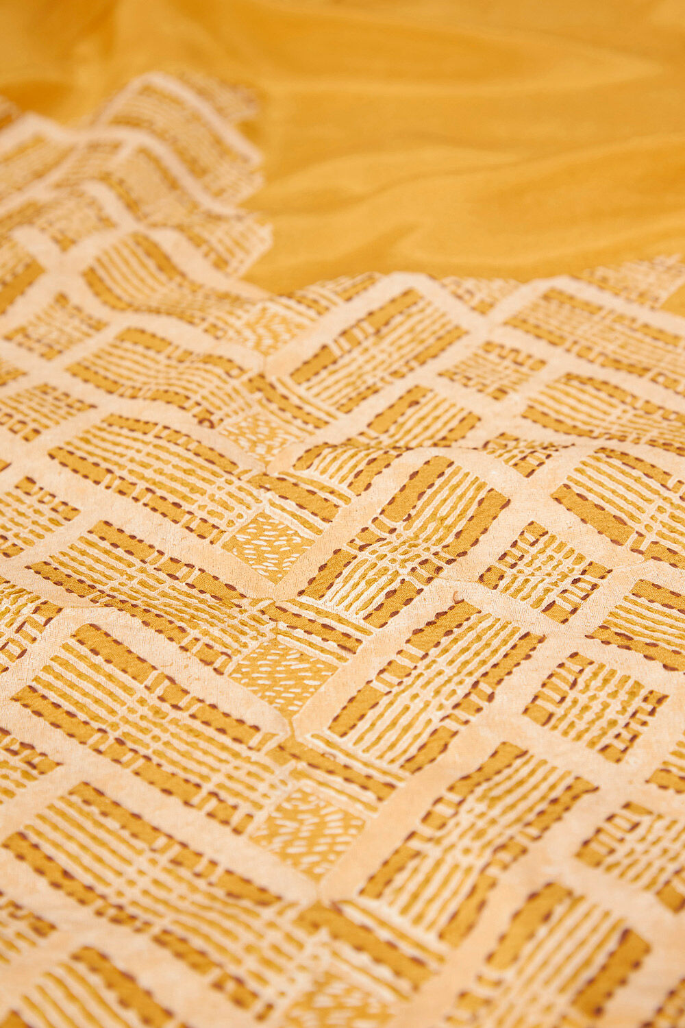 Yellow Pure Tissue Organza Printed Embroidery Saree image number null