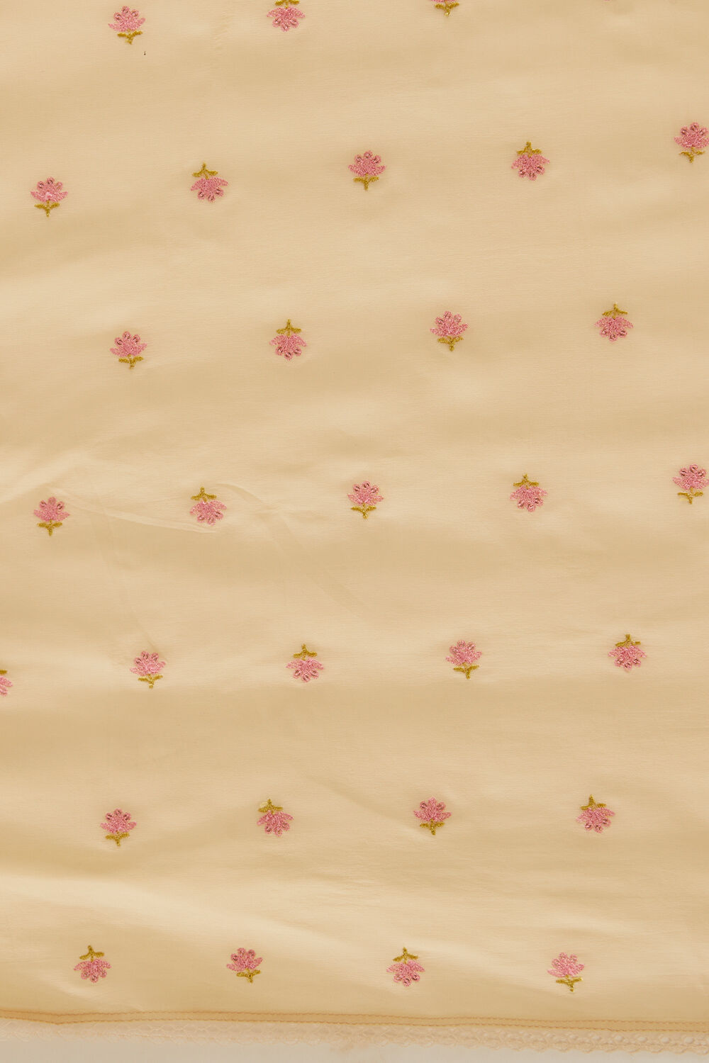Light Orange Pure Organza Painted Saree image number null