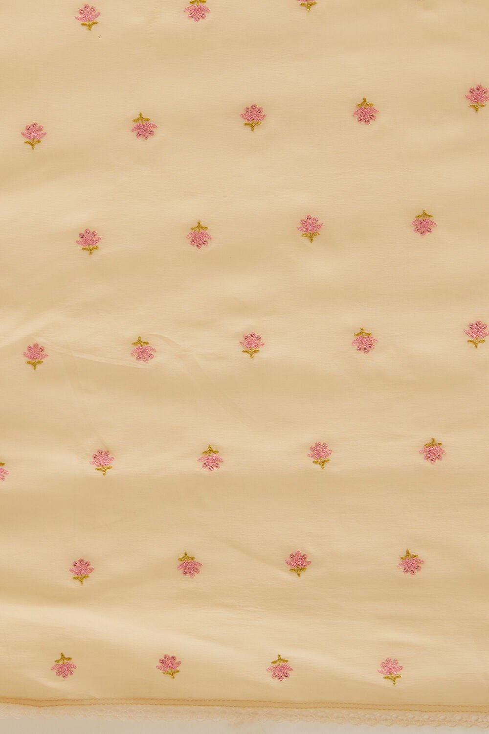 Light Orange Pure Organza Painted Saree image number null