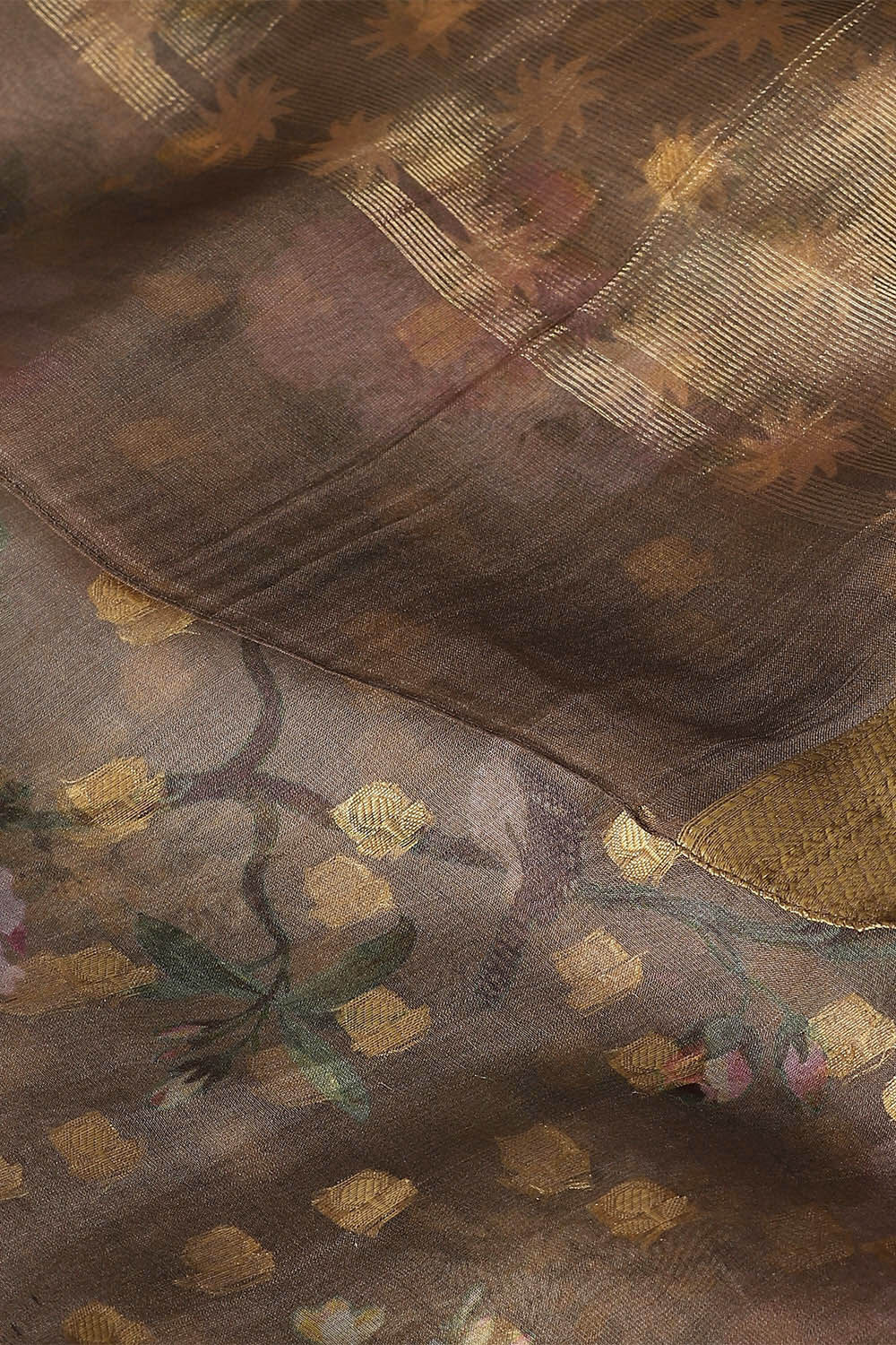 Brown Pure Organza Digital Printed Saree image number null