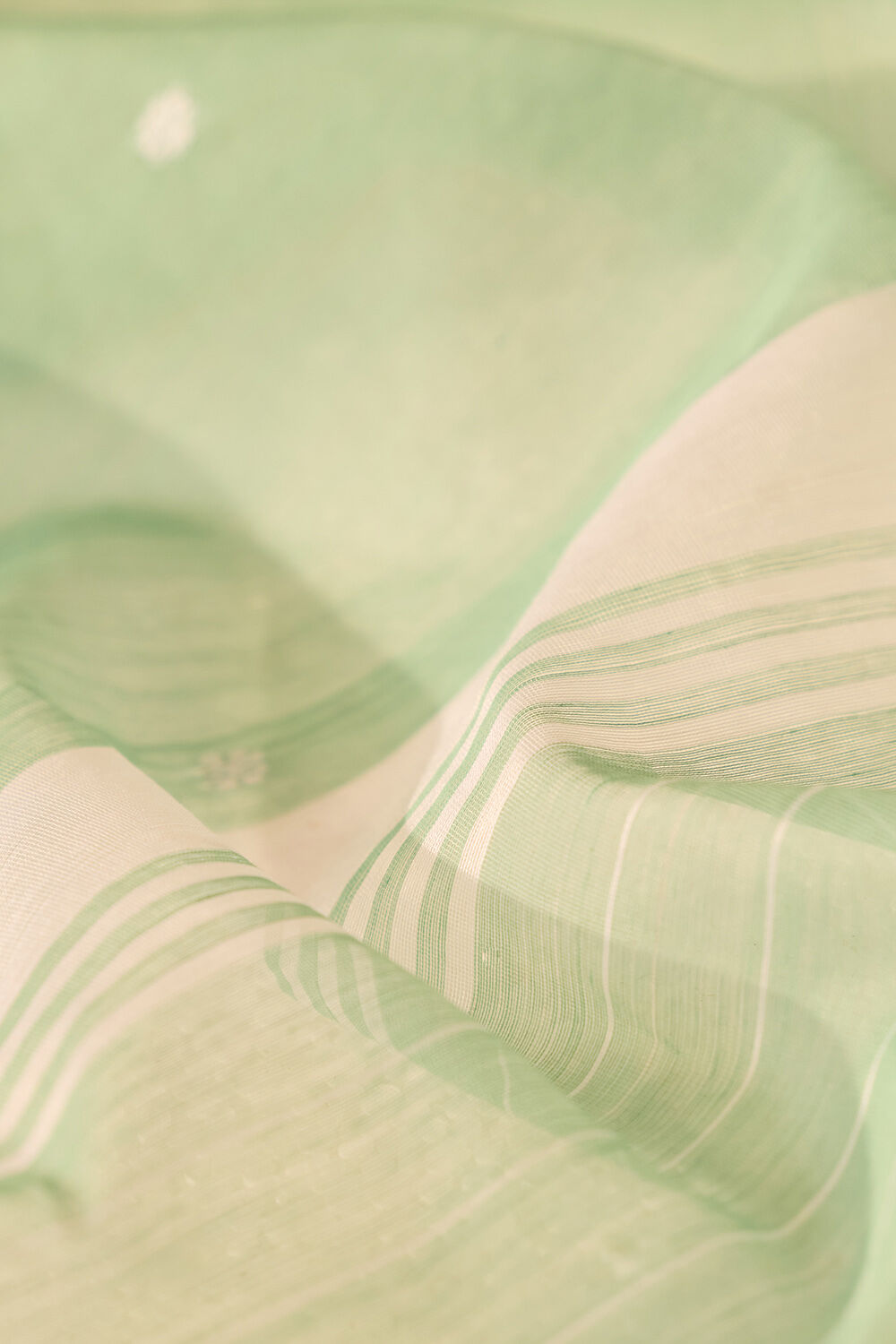 Green Woven Pure Silk Cotton Chanderi Saree image number null