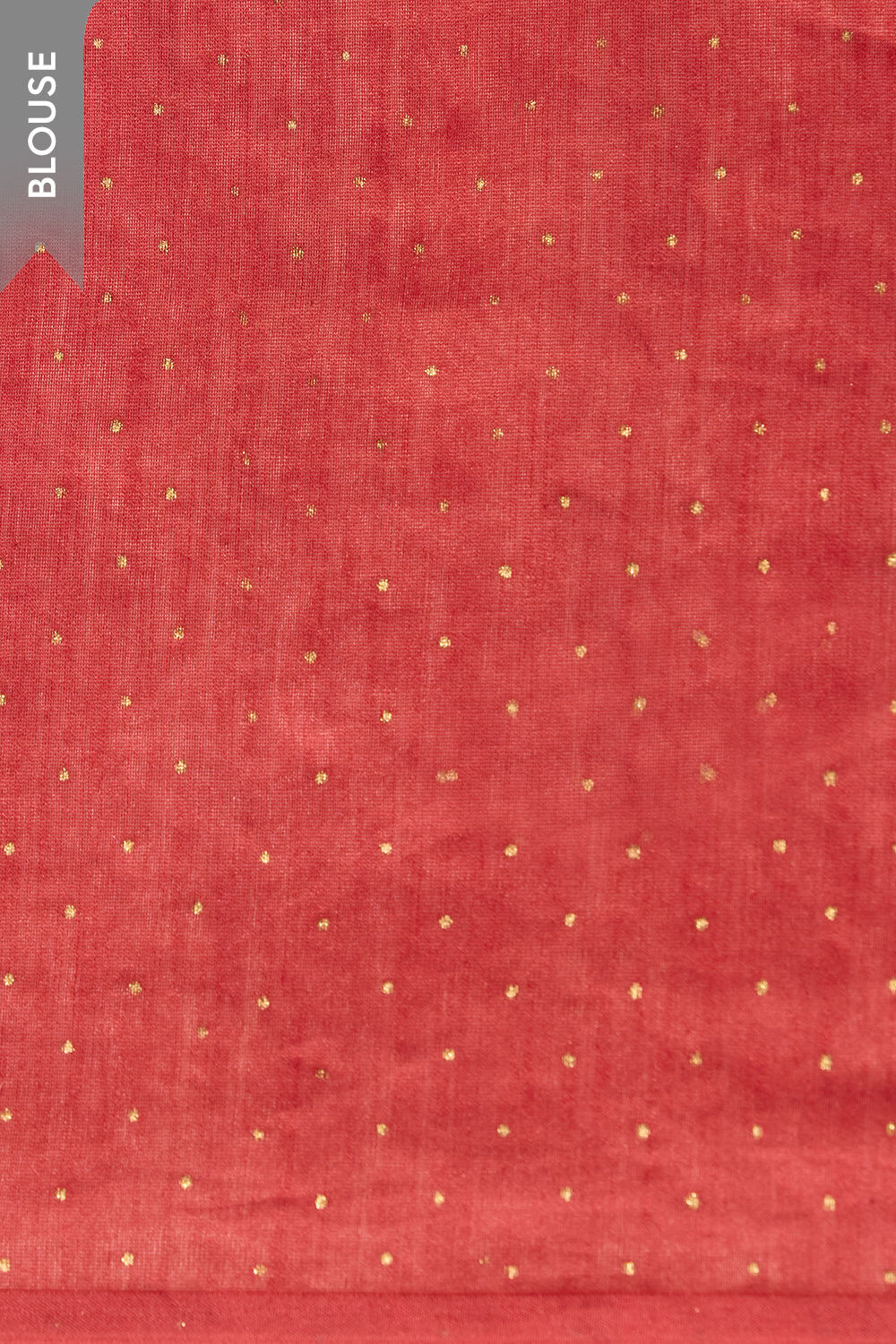 Off White Rajasthan Pure Silk Cotton Printed Embroidered Saree image number null
