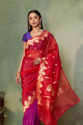 Multi Pure Silk Organza Kadwa Banarasi Saree image number