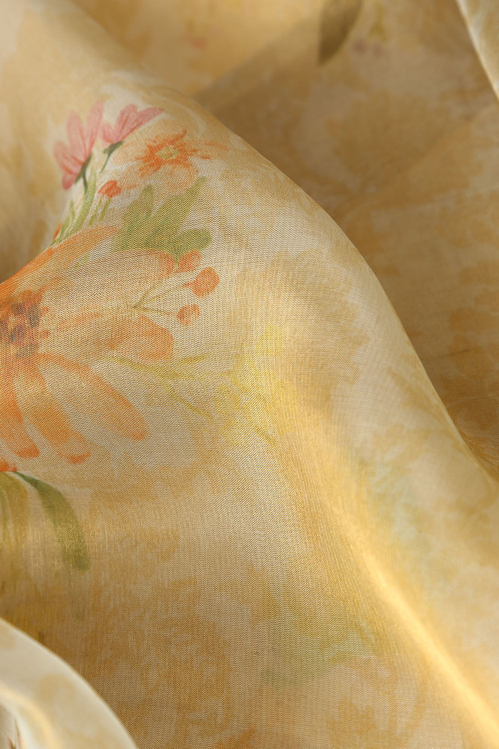 Beige Pure Tissue Silk Digital Printed Saree image number null
