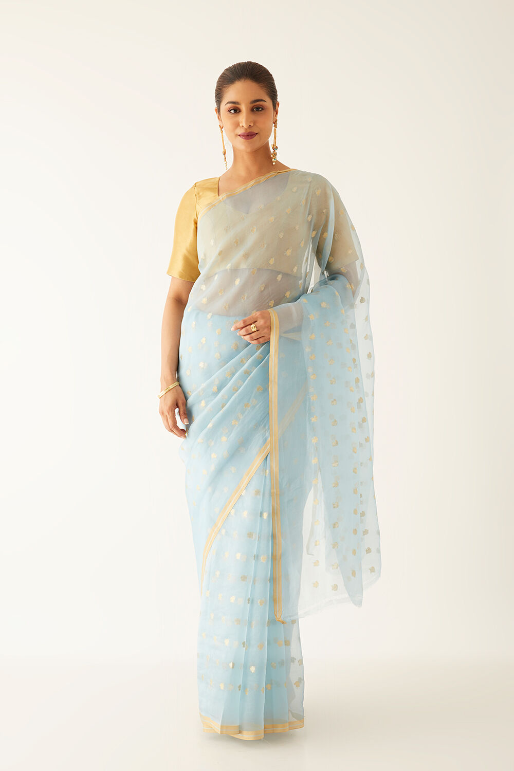 Light Blue Pure Organza Banarasi Saree image number null