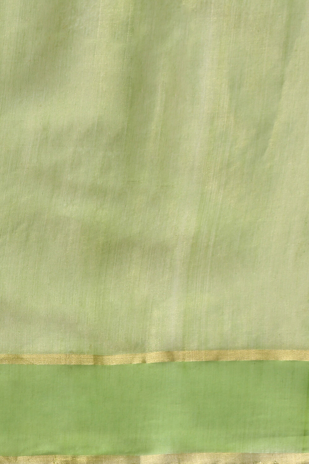 Light Blue Pure Cotton Tissue Chanderi Saree image number null