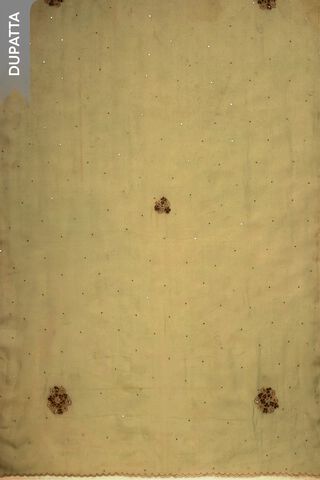 Light Green Viscose Tissue Embroidered Unstitched Suit Set thumbnail image number null