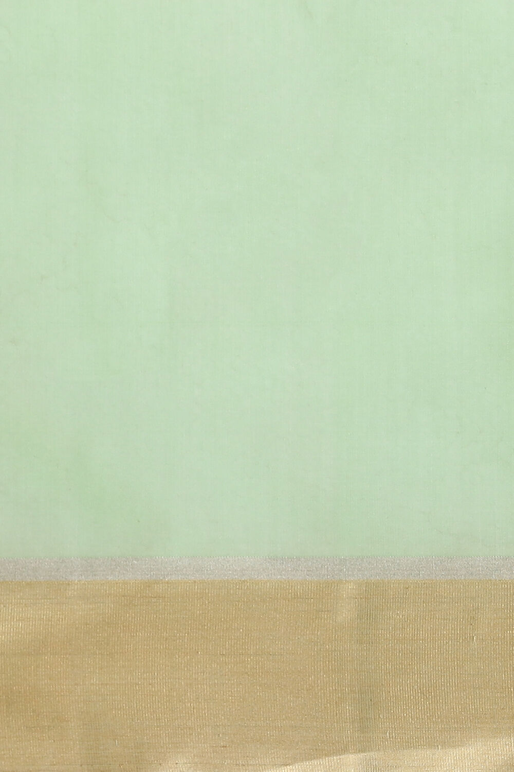 Light Green Pure Silk Cotton Chanderi Saree image number null