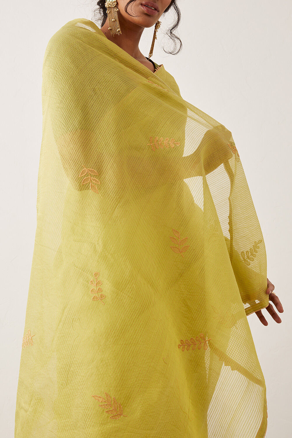 Light Green Pure Tissue Silk Embroidered Saree image number null