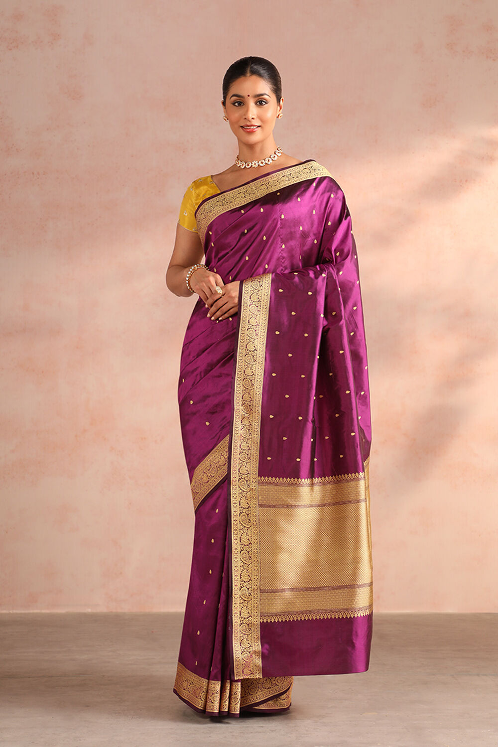 Violet Pure Silk Kadwa Banarasi Saree image number null