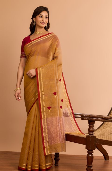 Brown Eknaliya Pure Silk Cotton Chanderi Saree