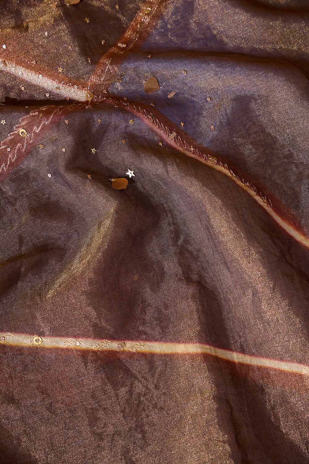 Brown Pure Tissue Cotton Embroidered Saree image number null
