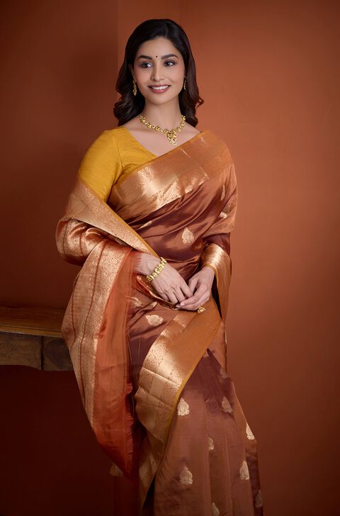 Brown Silk Viscose Apsara Woven Saree