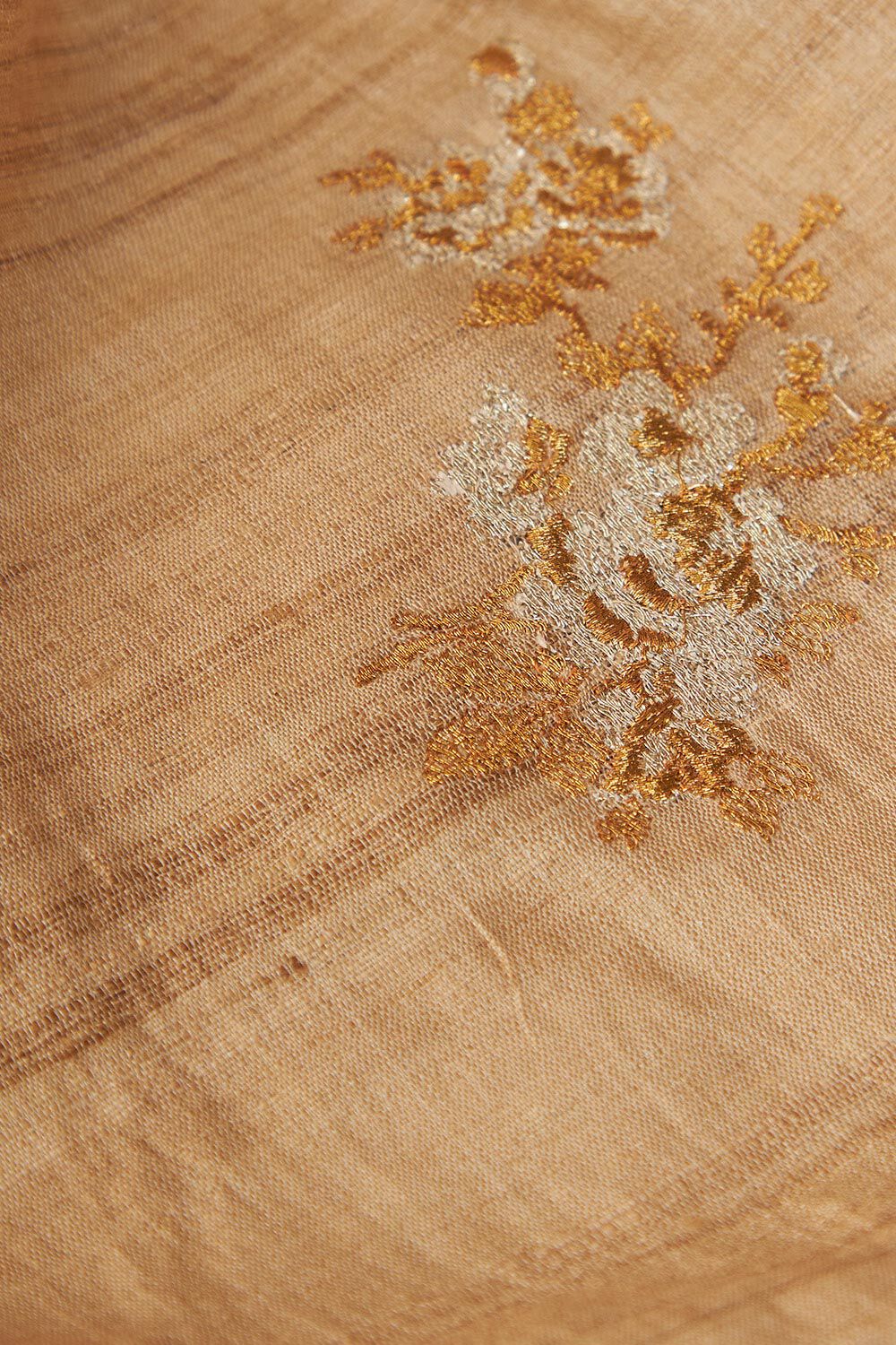 Beige Pure Tussar Silk Embroidered Saree image number null
