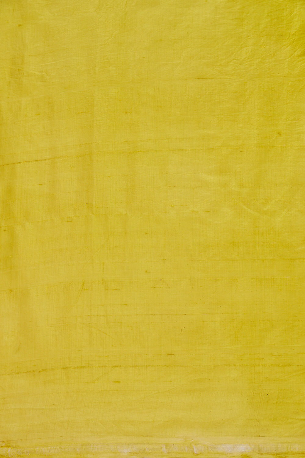 Light Green Pure Silk Hand Paint Saree image number null