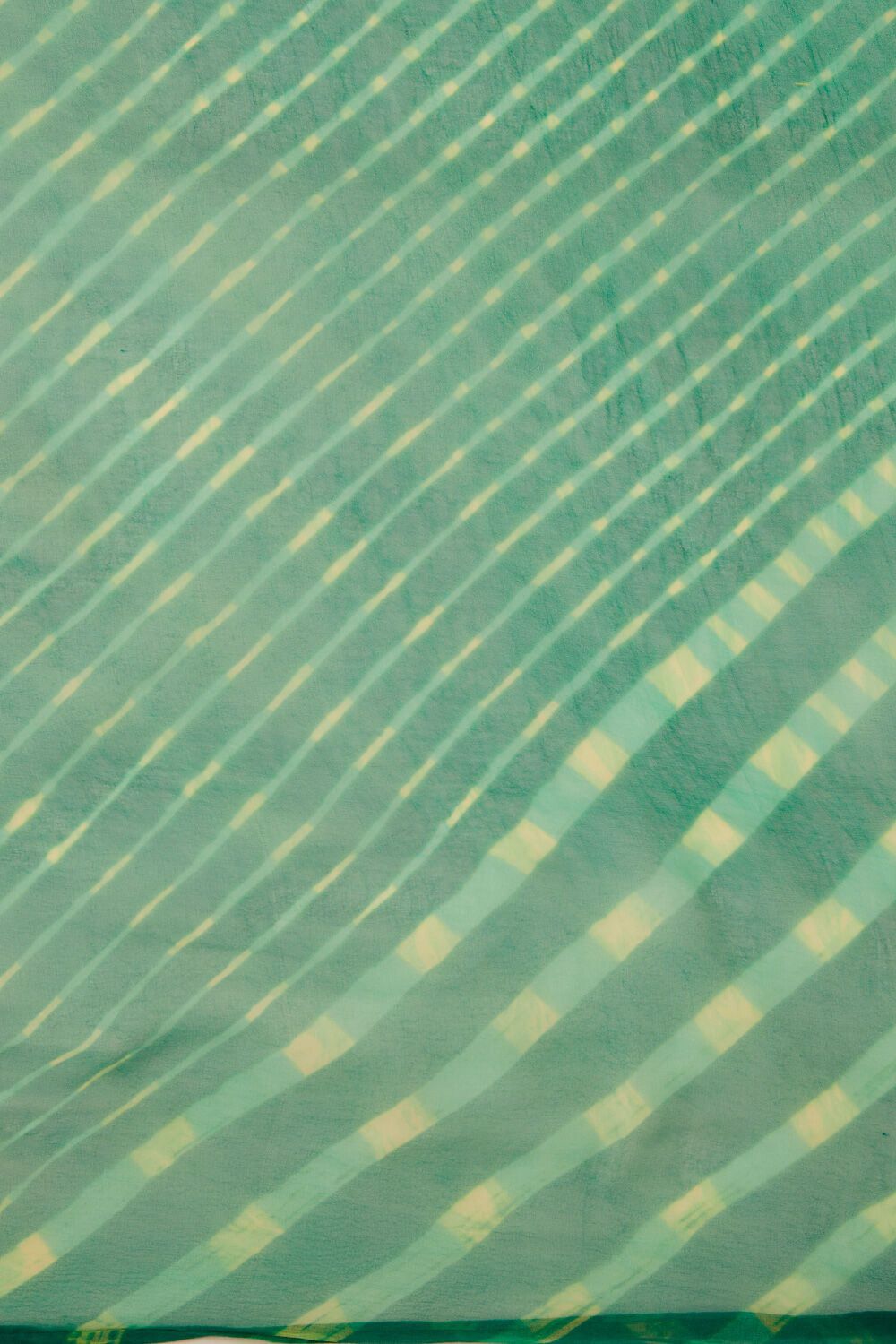 Green Rajasthan Pure Silk Georgette Tie & Dye Leheriya Saree image number null