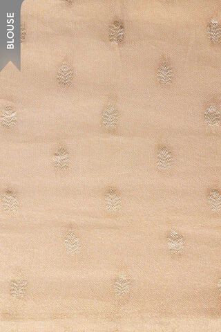 Beige Printed Viscose Tissue Saree thumbnail image number null