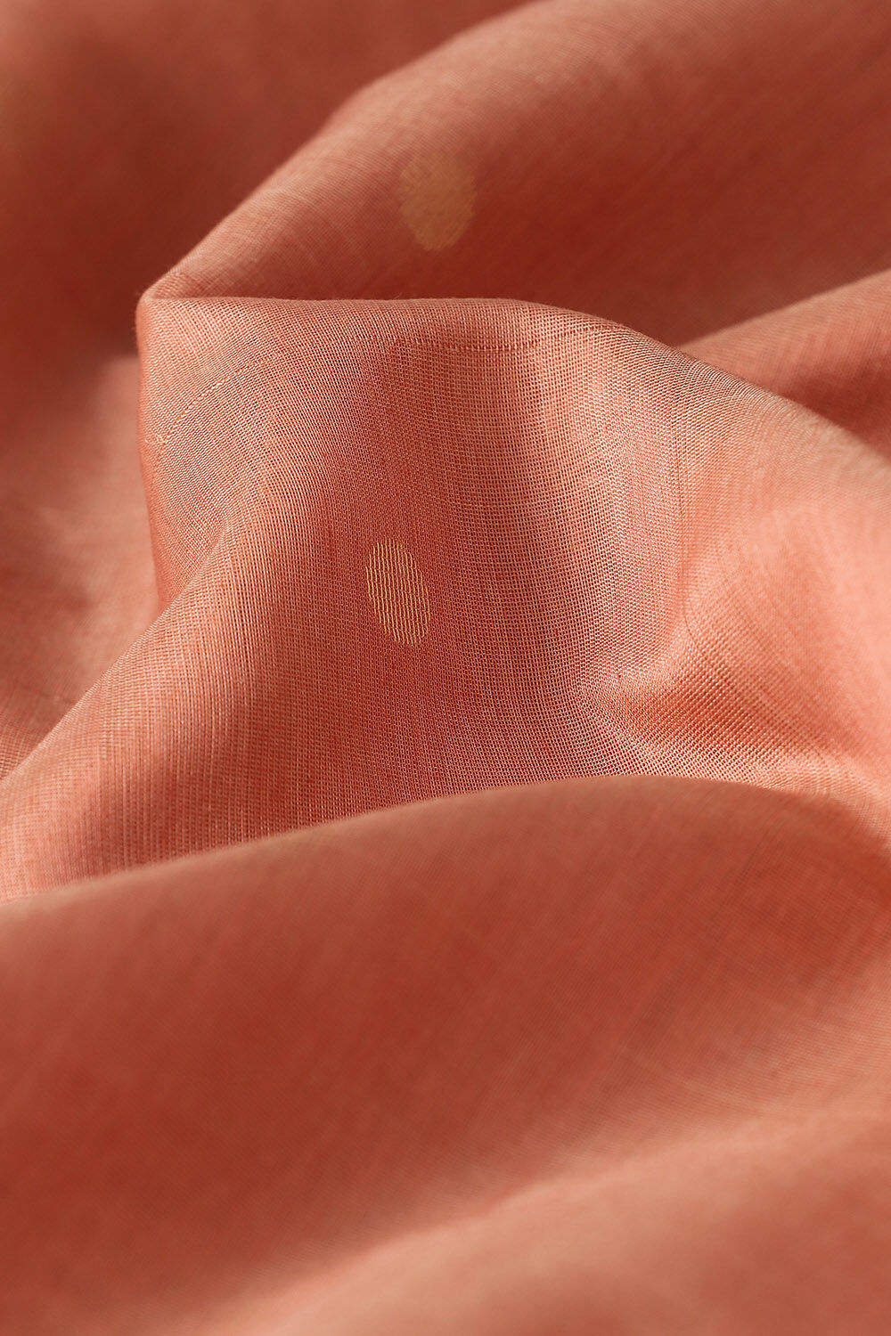 Light Orange Pure Silk Cotton South Saree image number null