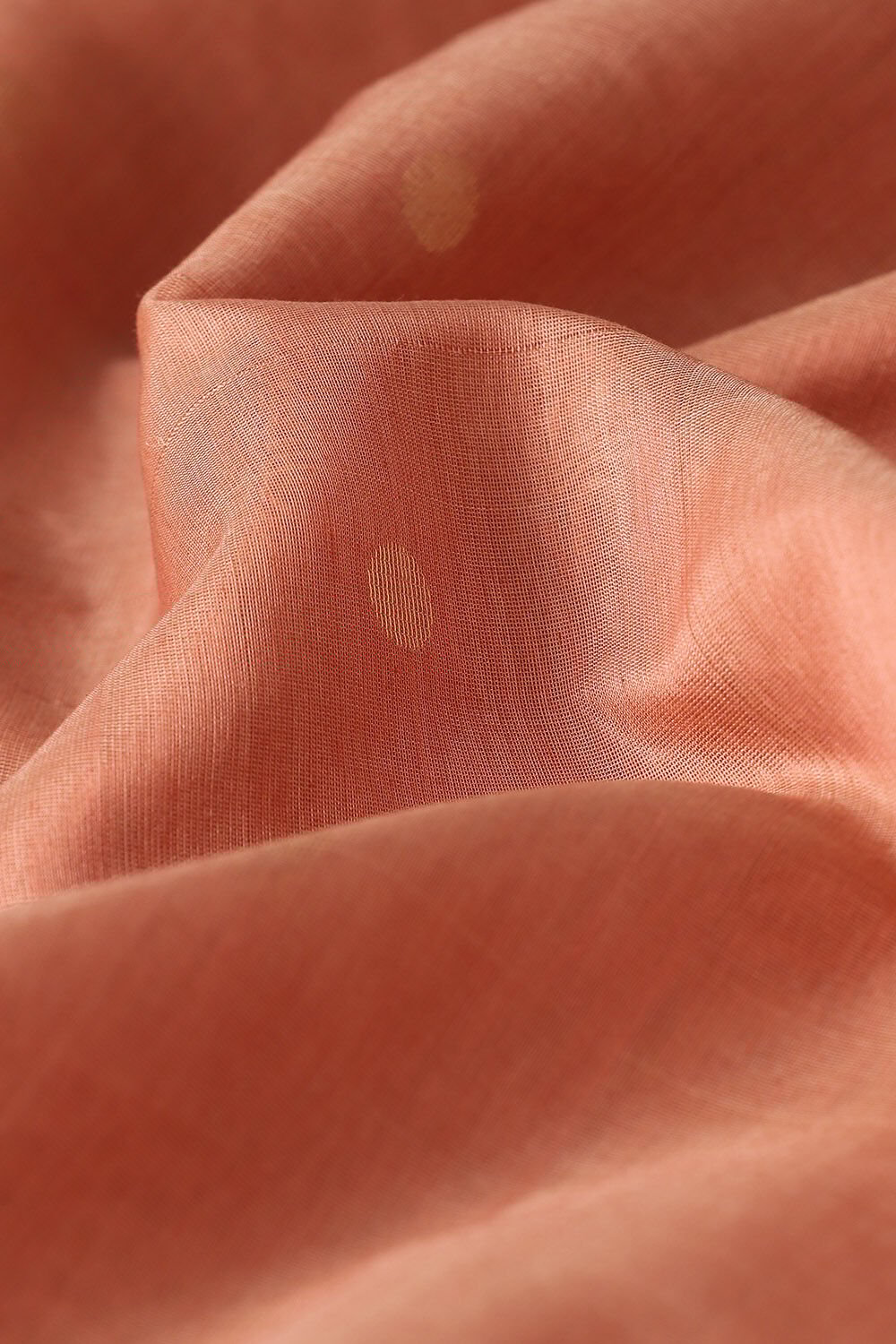 Light Orange Pure Silk Cotton South Saree image number null