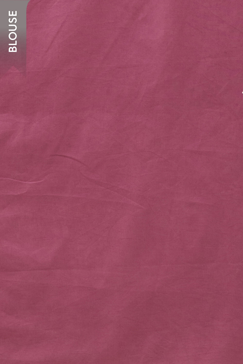 Beige Bengal Pure Kota Hand Painted Saree image number null