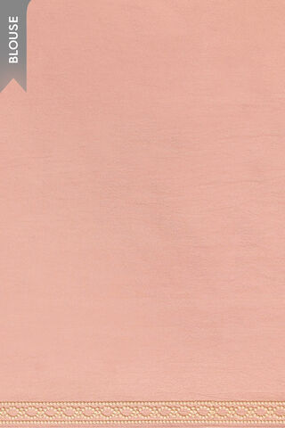 Light Pink Banarasi Viscose Organza Embroidered Saree thumbnail image number null