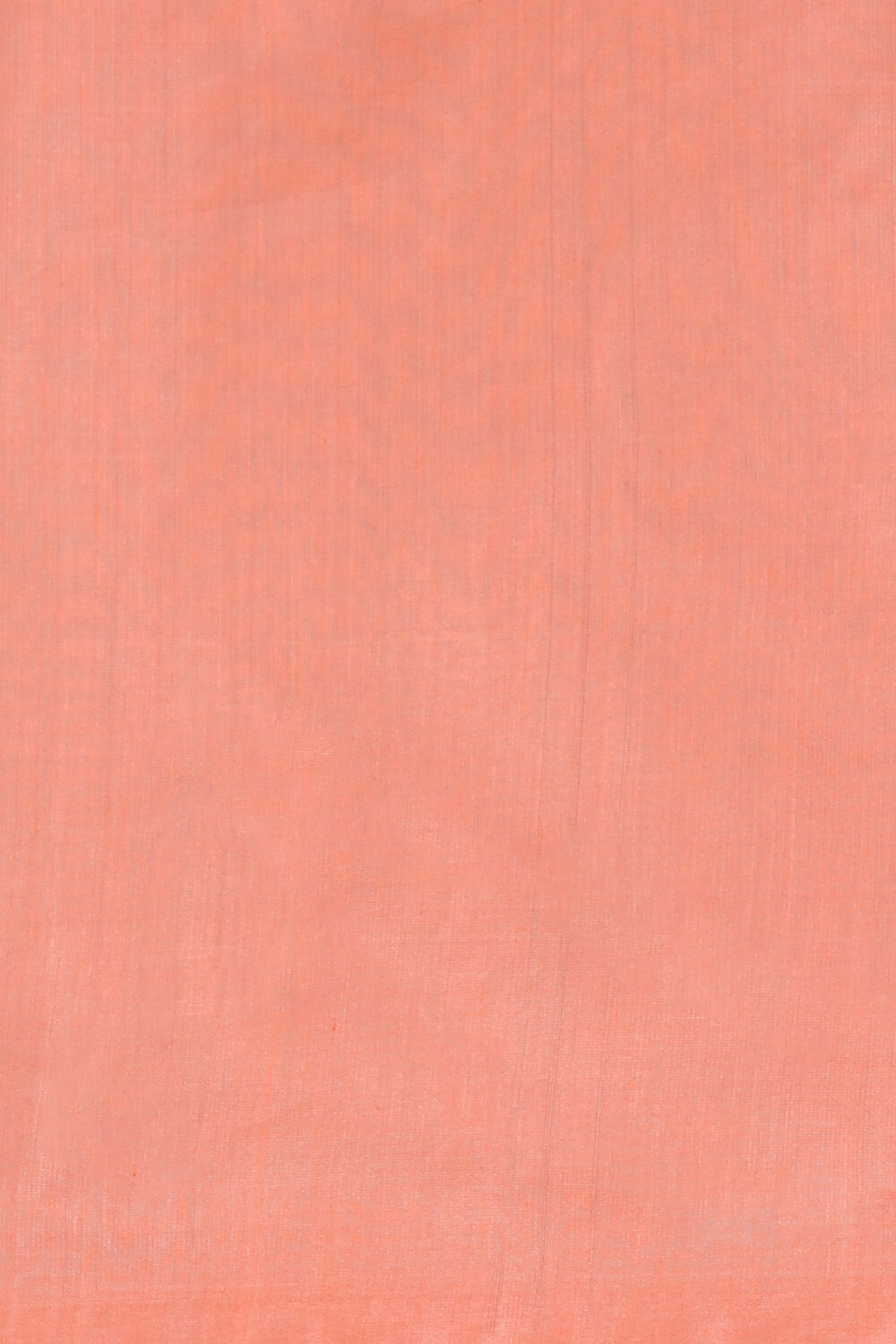 Light Orange Pure Silk Cotton South Saree image number null